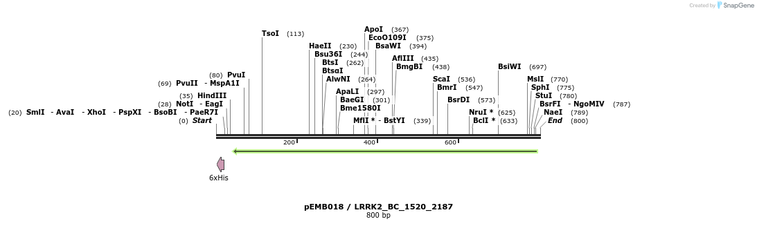 53991_map