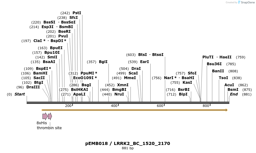 53993_map