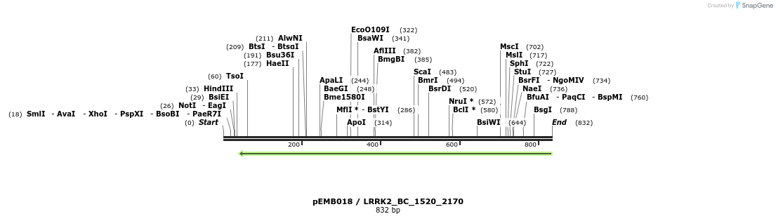 53994_map