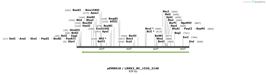 53997_map
