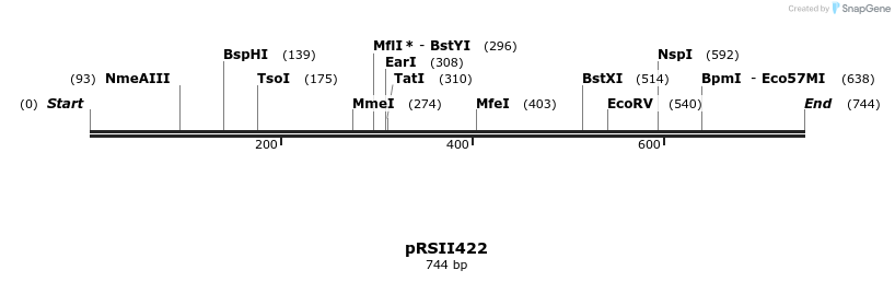 53998_map
