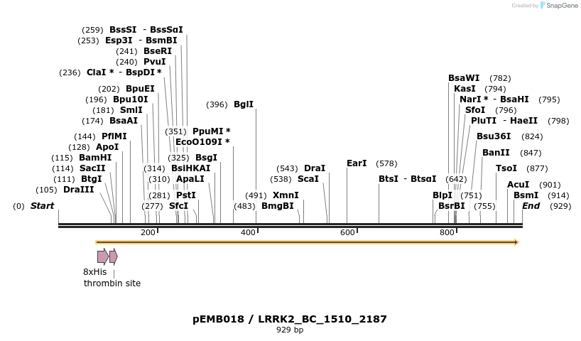 53999_map