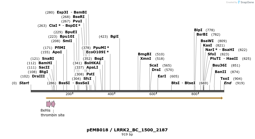 54004_map