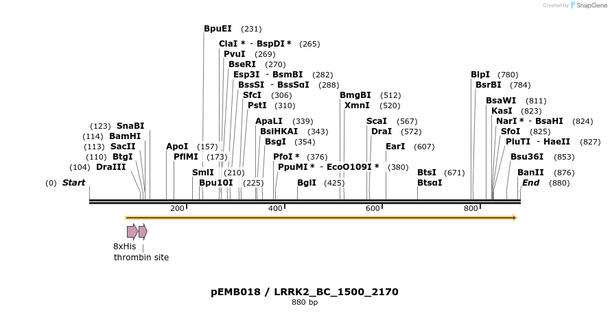54006_map