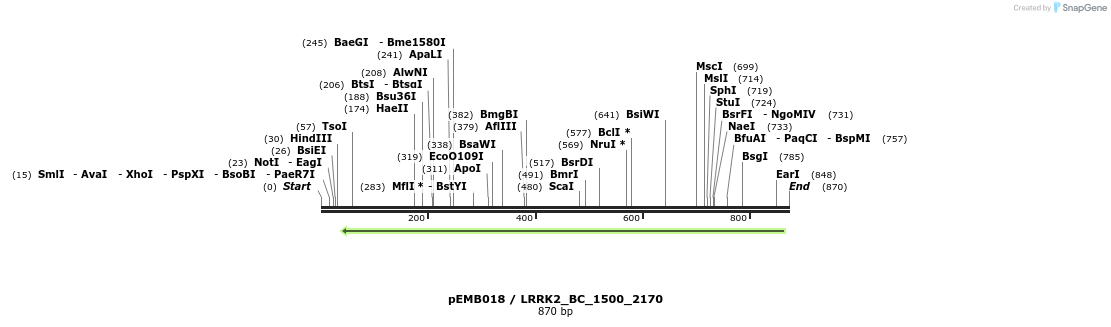 54007_map