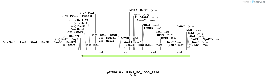 54013_map