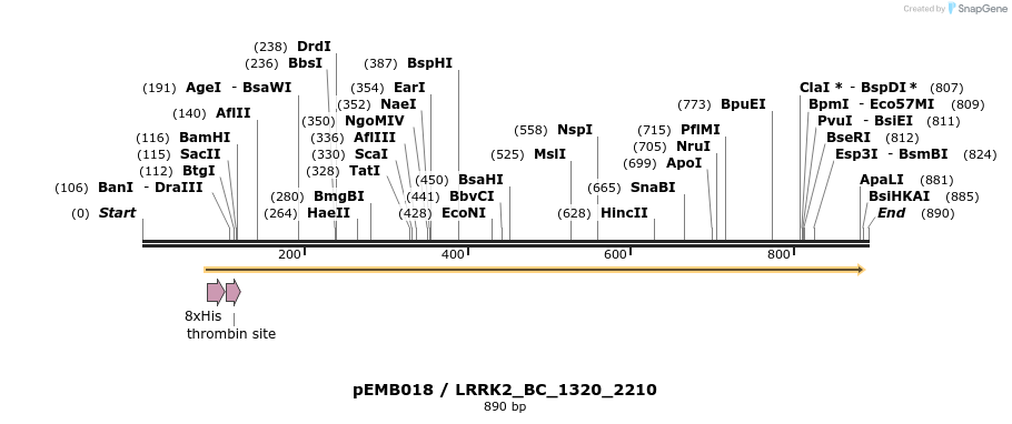 54020_map