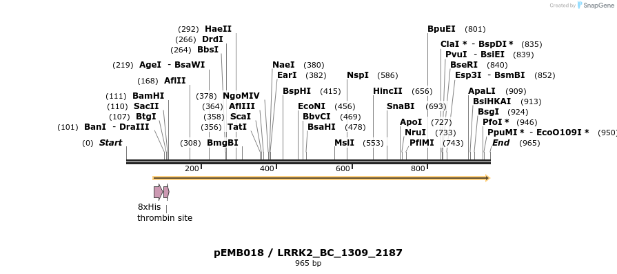 54025_map