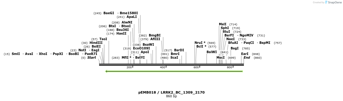 54031_map