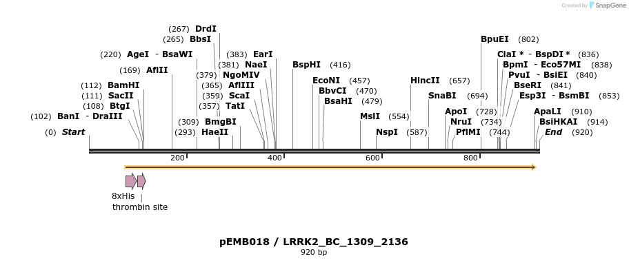 54032_map