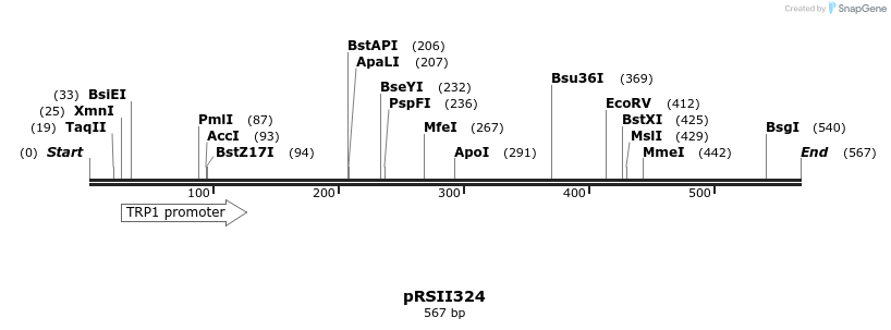 54036_map