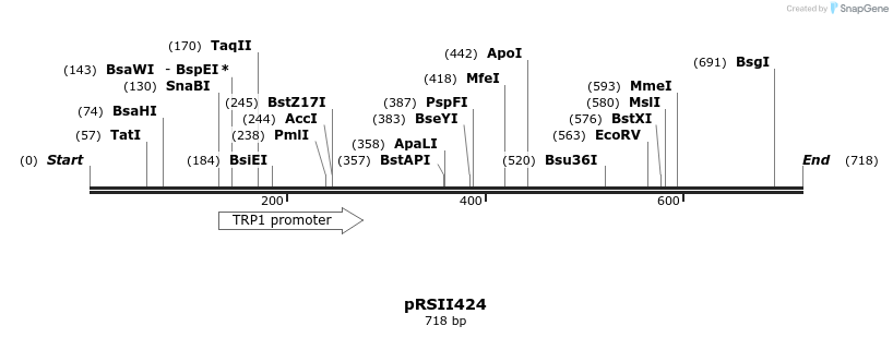 54037_map