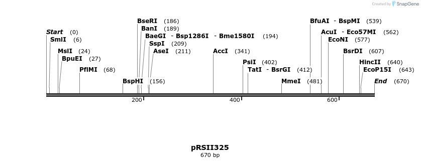 54041_map