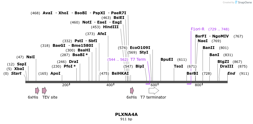54042_map