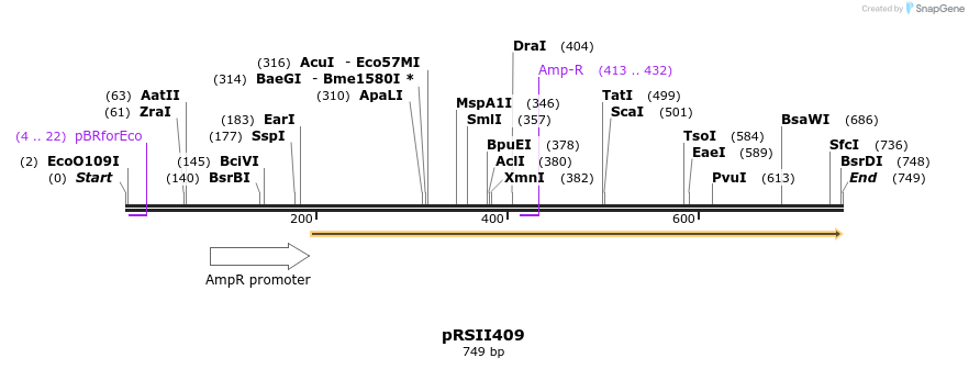 54048_map