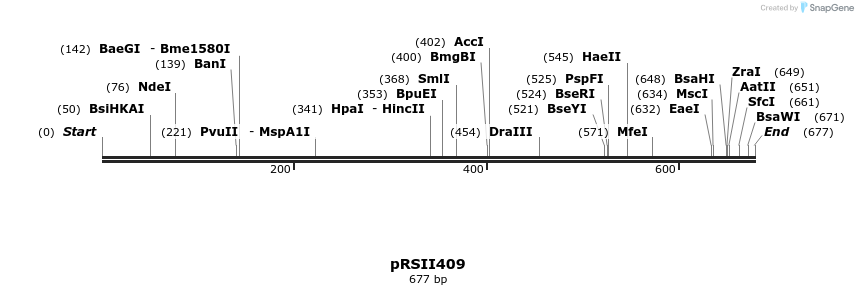 54049_map