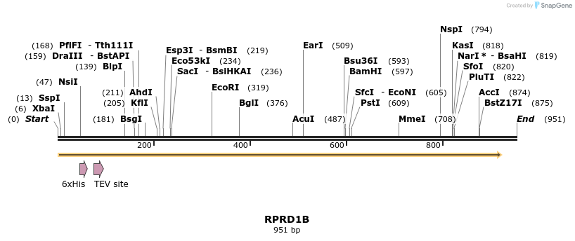 54052_map
