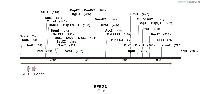 54053_map