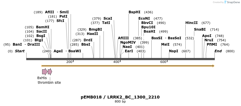 54054_map