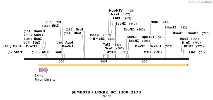 54057_map