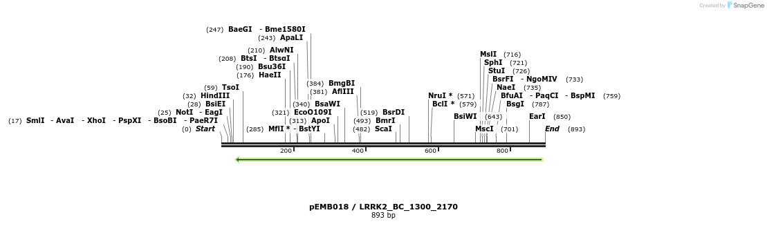 54058_map
