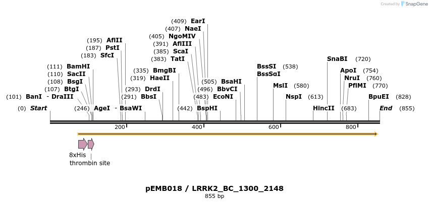 54059_map
