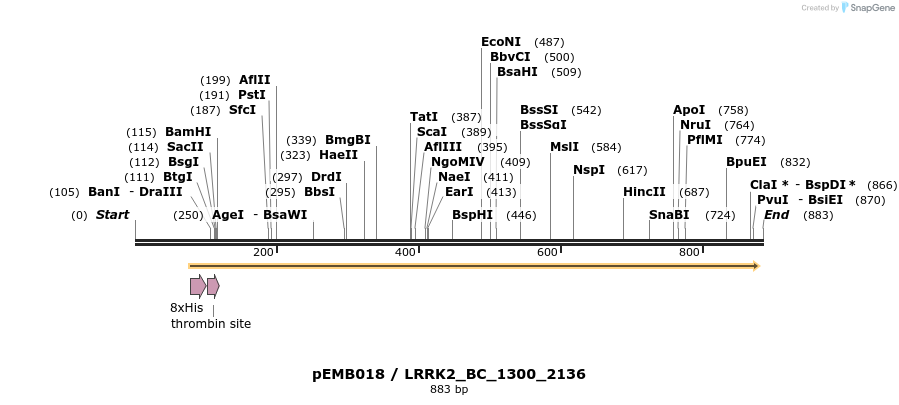54061_map