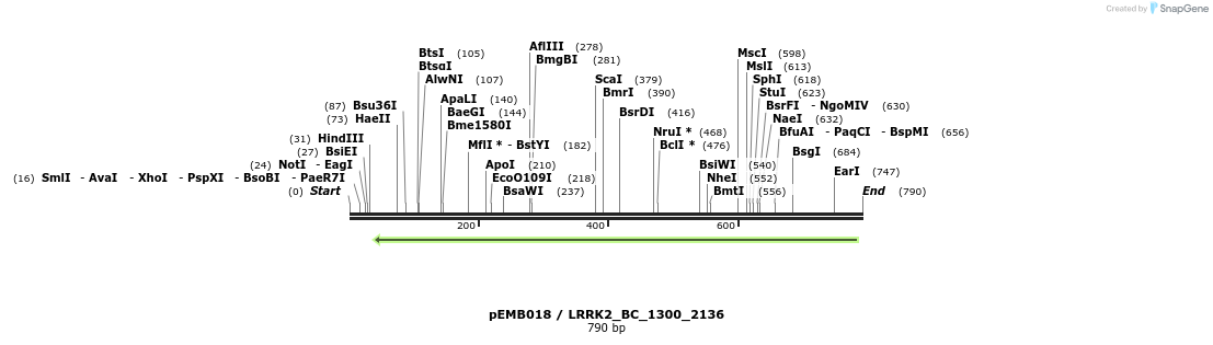 54062_map