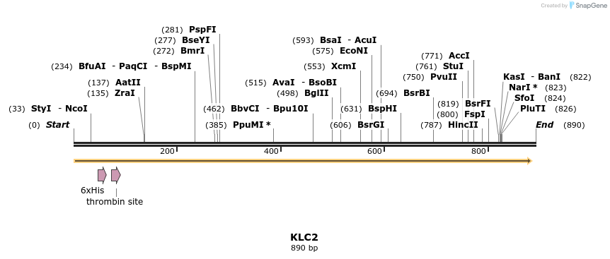 54067_map