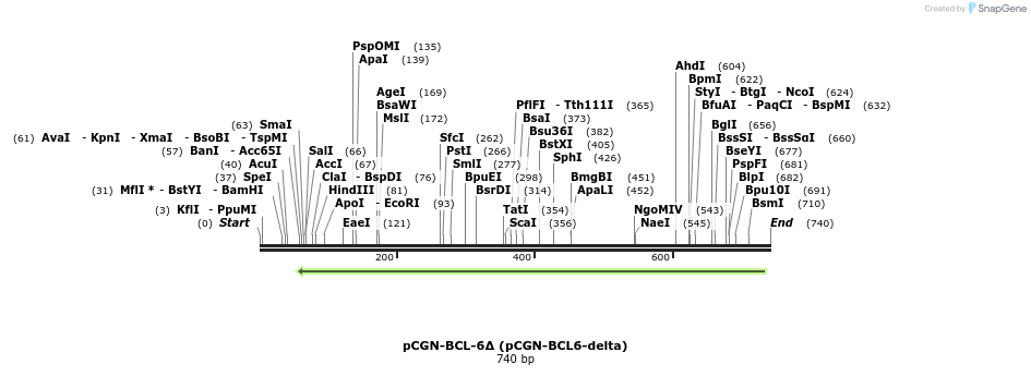 54070_map