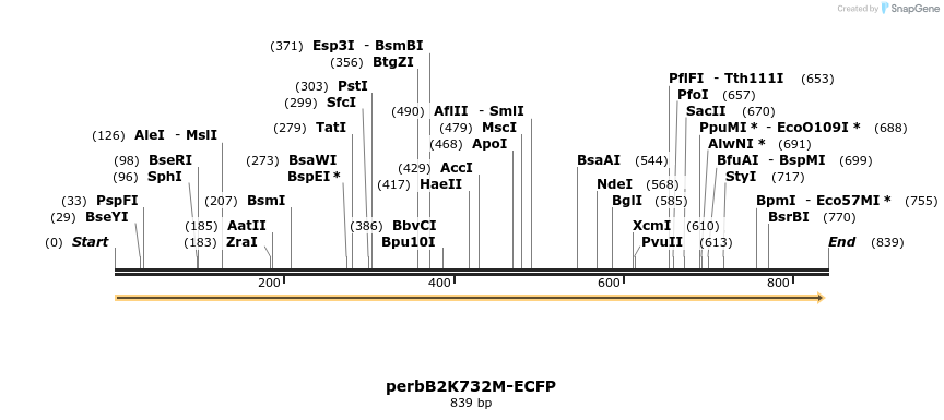 54075_map