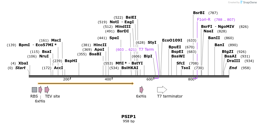 54078_map