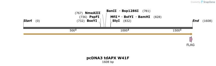 54080_map