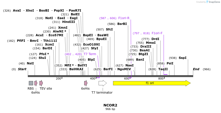 54081_map