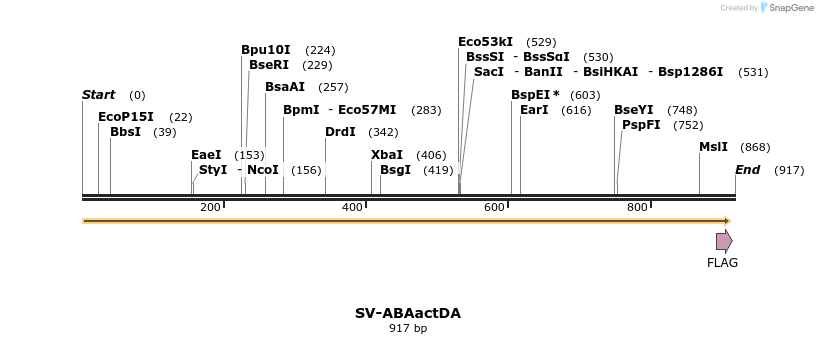 54083_map