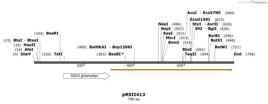 54091_map