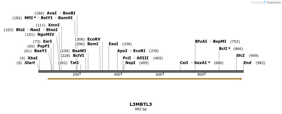 54093_map