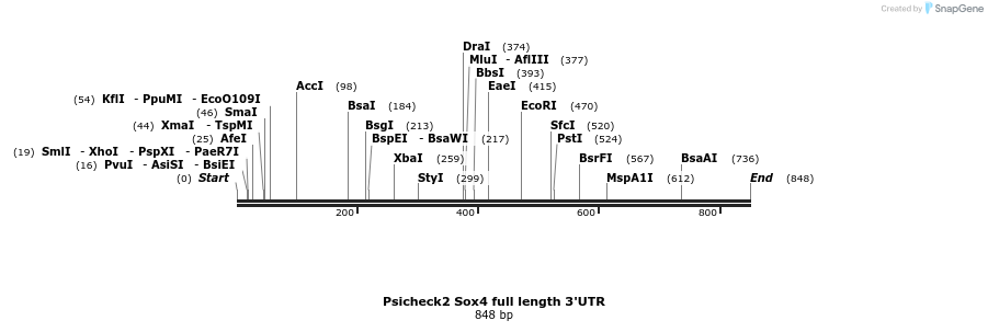 54096_map