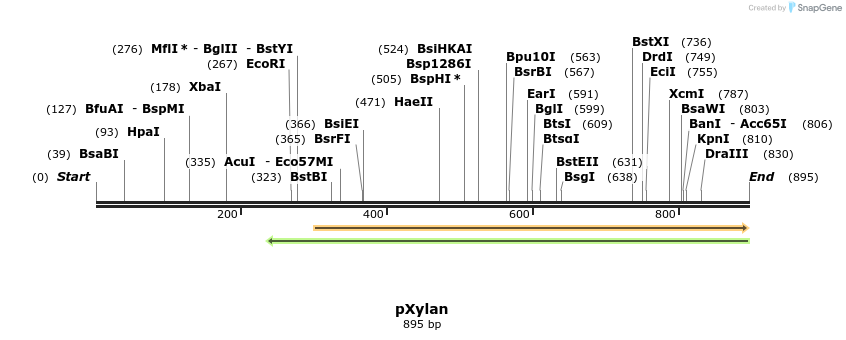 54111_map
