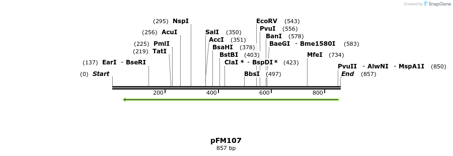 54112_map