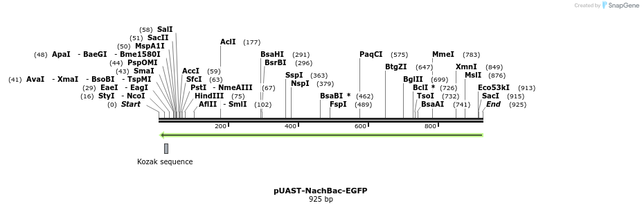 54118_map