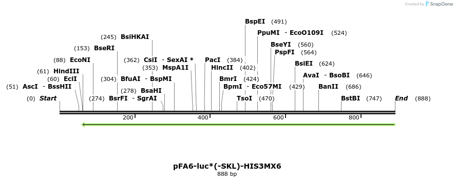 54140_map