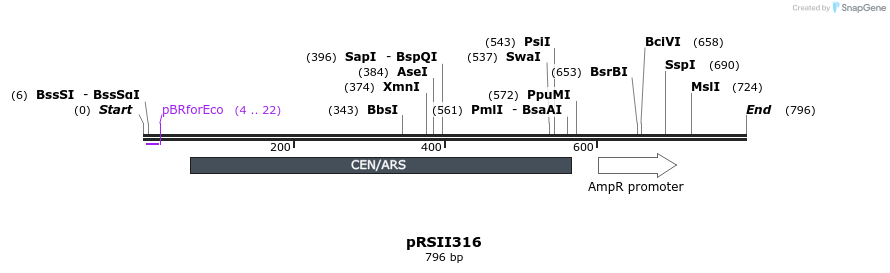 54144_map