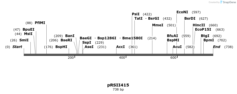 54149_map