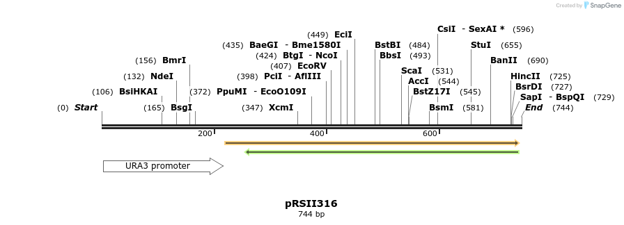 54150_map