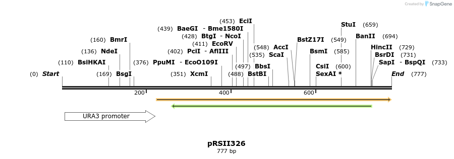 54158_map