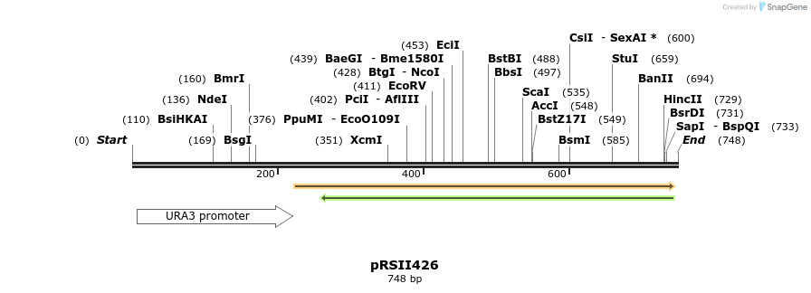 54161_map