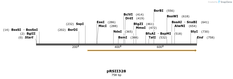 54163_map