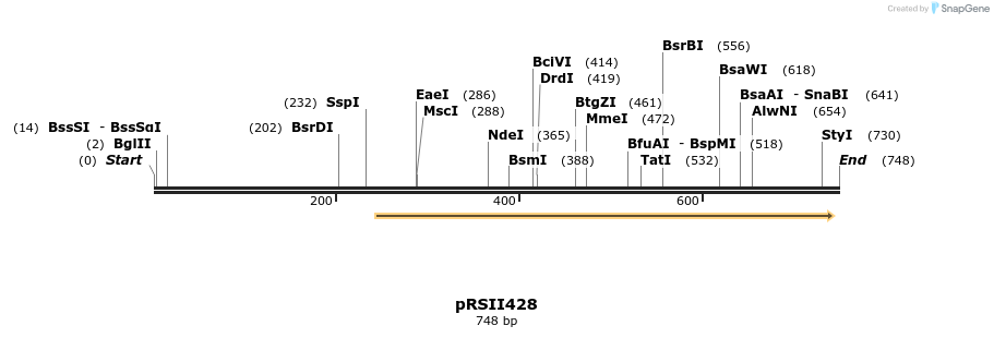 54166_map