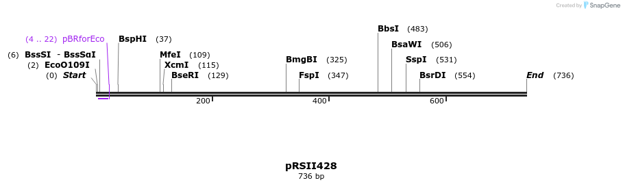 54167_map